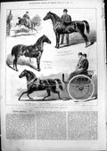 Old Ponies Lillie Bridge Show C Julls Little Dick Ransomes Rory O'Mor
