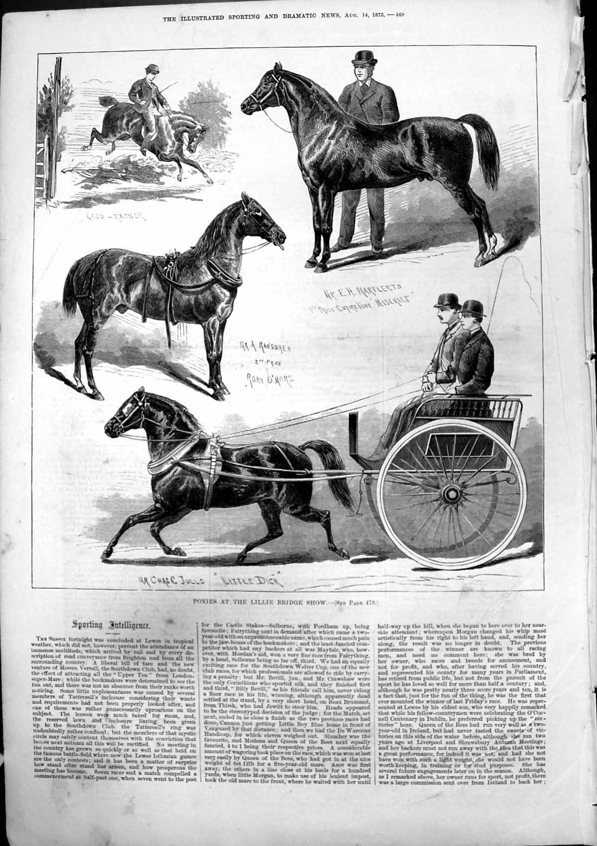 Old Ponies Lillie Bridge Show C Julls Little Dick Ransomes Rory O'Mor