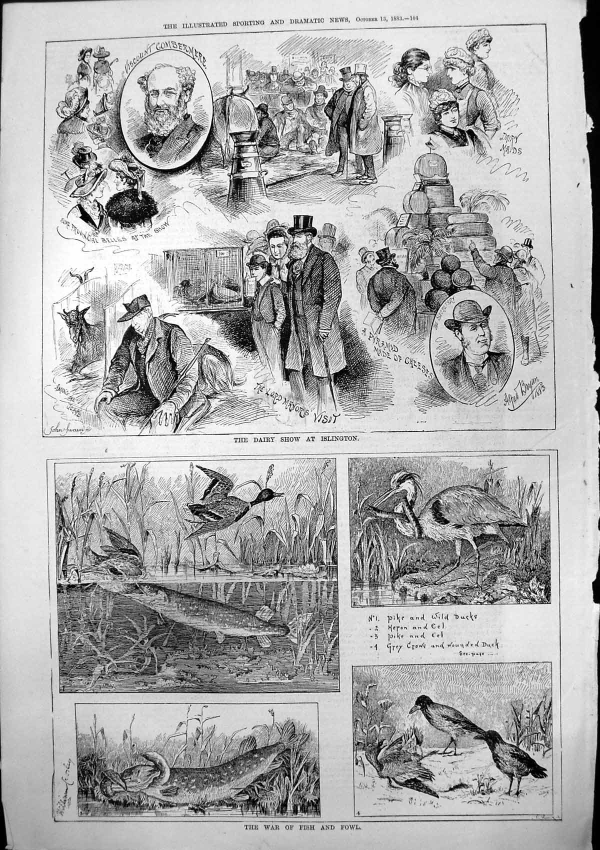 Old Dairy Show Islington Alfred Bryan War Fish Fowl Pike Heron Eel 18 Victorian