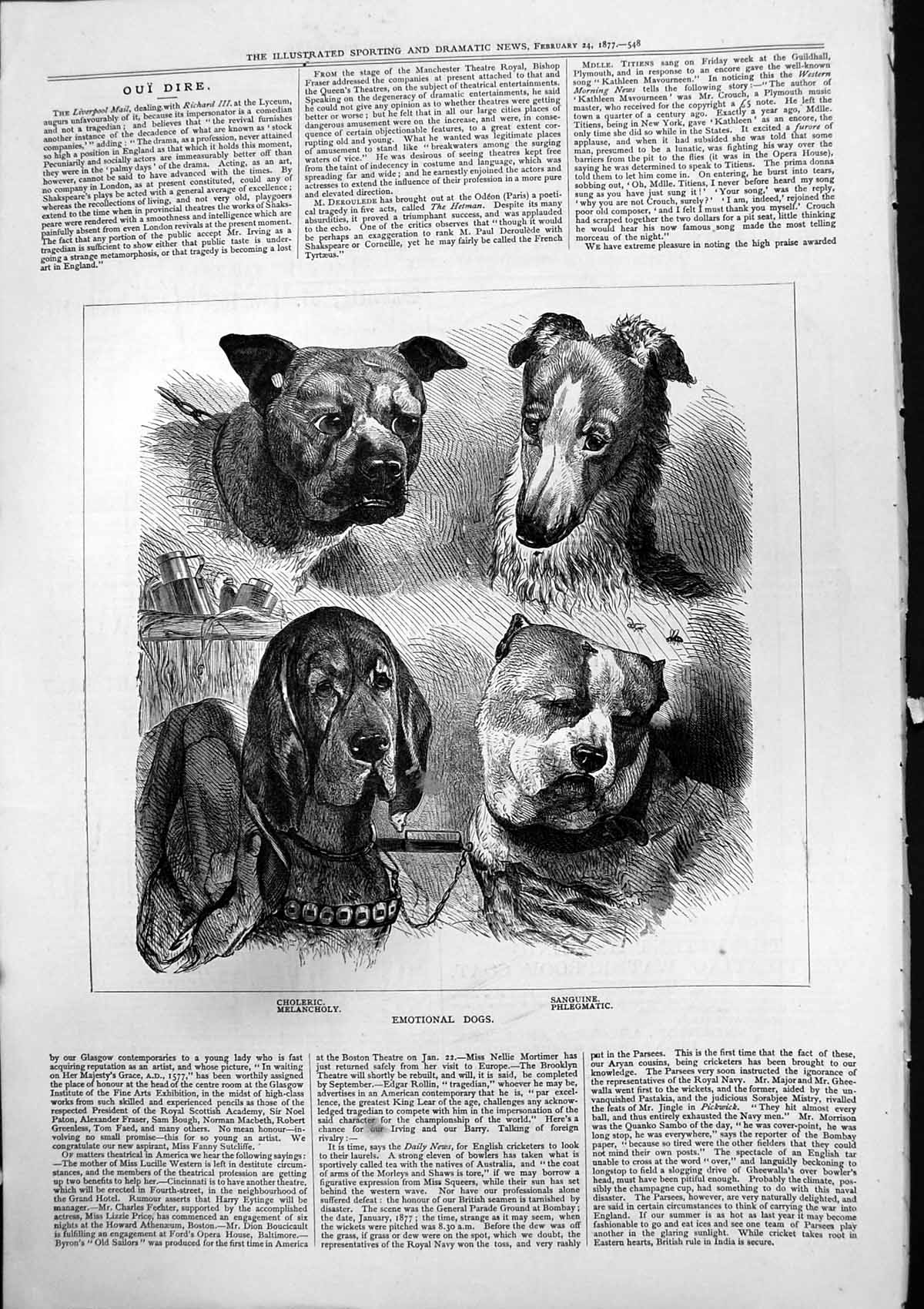 Antique Old Print Emotional Dogs Choleric Melancholy Sanguine Phlegmatic 1877