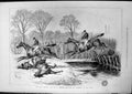 Antique Print Grand Military Hunt Cup Sandown Park Fall Woodbine Water 1877