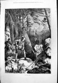 Antique Old Print An Easy Shot Hunters Prepare Shoot Bird Up Tree Forest 1877