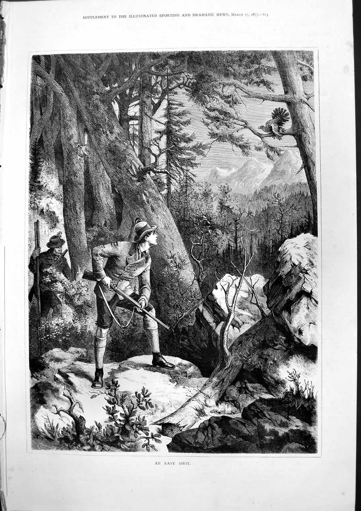 Antique Old Print An Easy Shot Hunters Prepare Shoot Bird Up Tree Forest 1877
