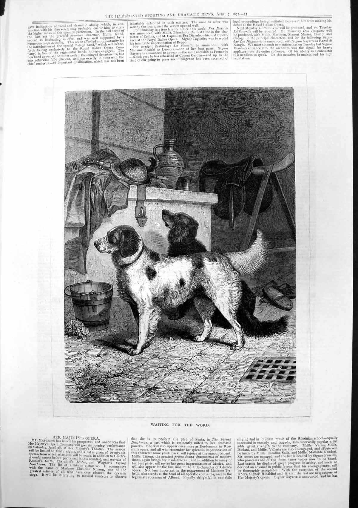 Antique Old Print Waiting For Word Dogs Waiting Master Coat Hat Saddle 1877