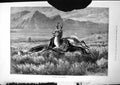 Old Antique Print Hunting Antelpoe Deer Chased Dogs Horses 1877 Damaged 19th