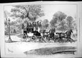 Old Print Twickenham Richmond Coach Orleans Club Grounds J Sturgess 1877 19th