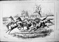 Old Antique Print For Future Derby J Sturgess Horses Galloping Field 1877 19th