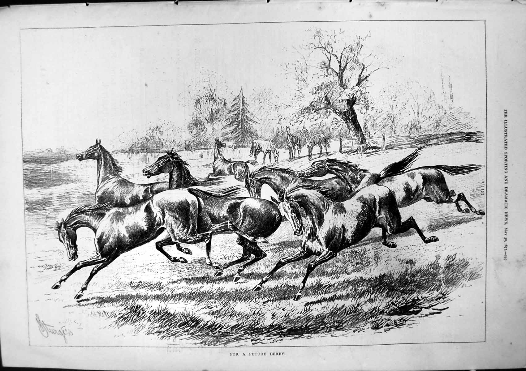 Old Antique Print For Future Derby J Sturgess Horses Galloping Field 1877 19th