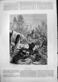 Old Print Making Ready Fox Hiding Behind Fence Ready Attack Rabbits 1877 19th