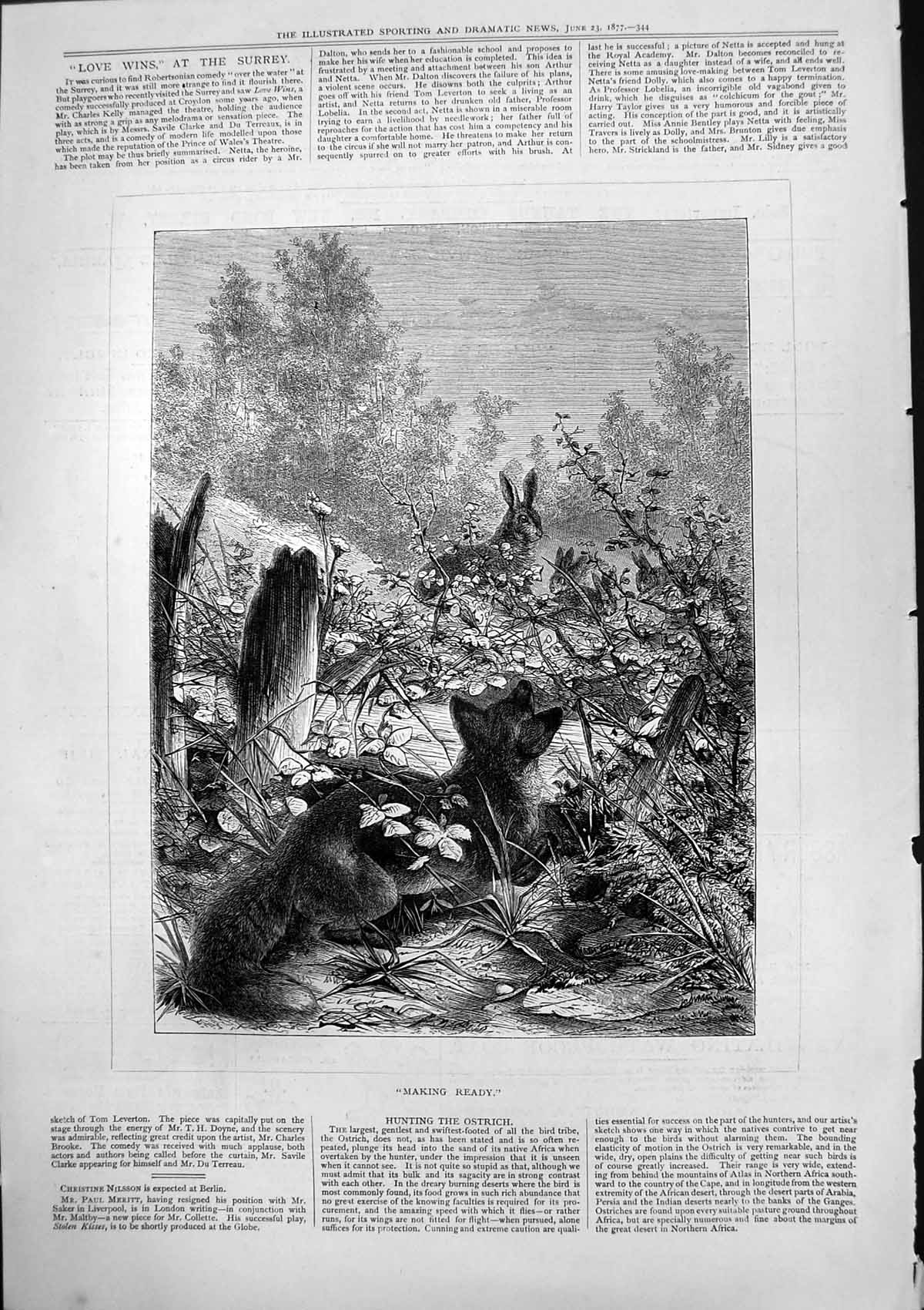 Old Print Making Ready Fox Hiding Behind Fence Ready Attack Rabbits 1877 19th