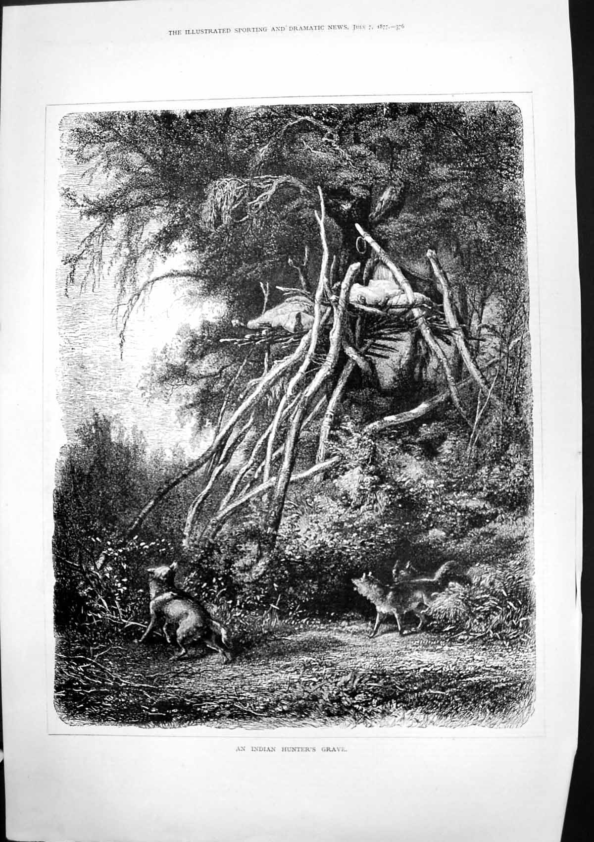 Old Print Indian Hunters Grave Platform Wood Branches Forest Wolves 1877 19th