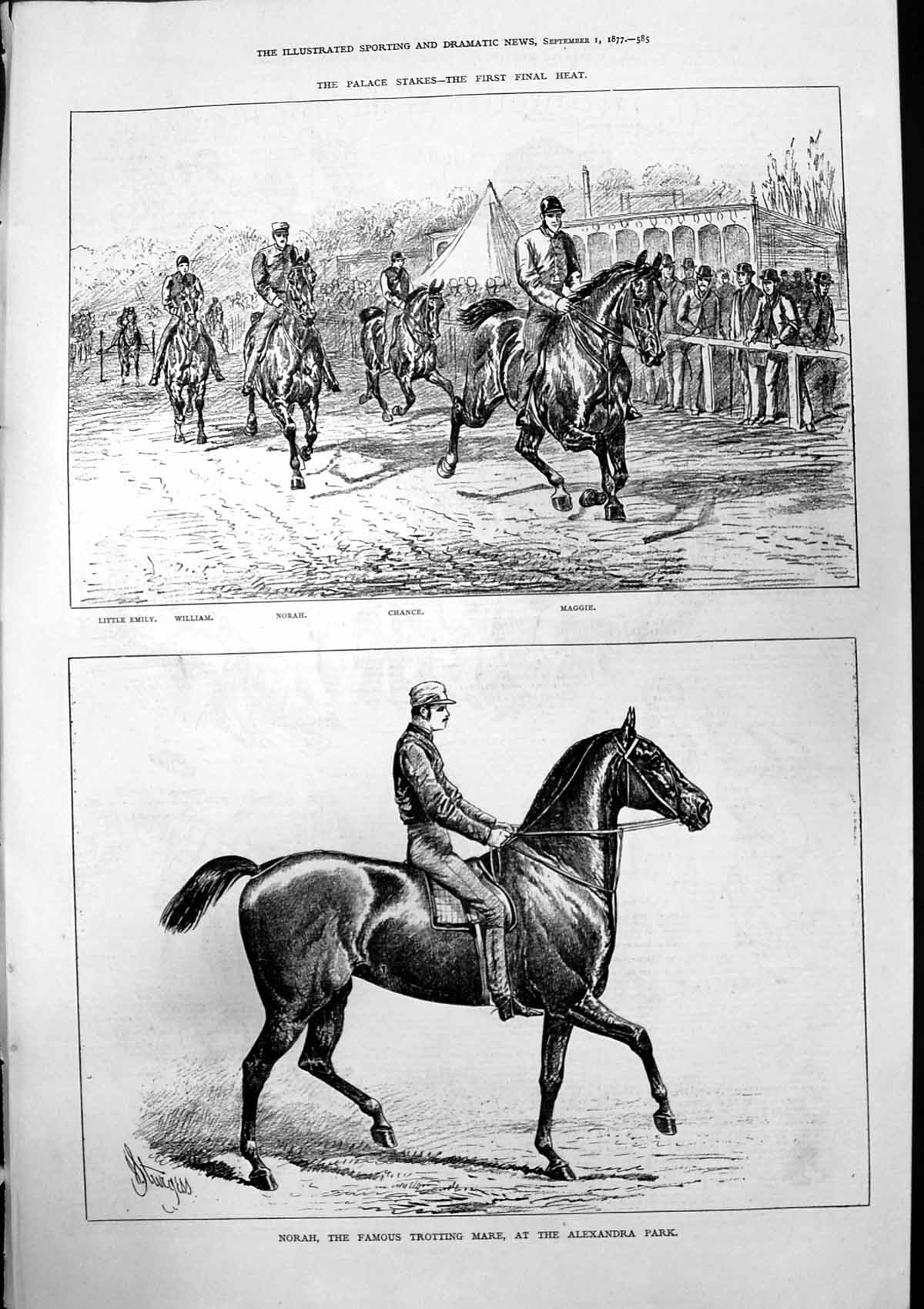 Old Palace Stakes Final Heat Norah Famous Trotting Mare Alexandra 187 Victorian