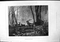 Original Old Antique Print Preparing For Fray Deer Young Forest 1877 Victorian