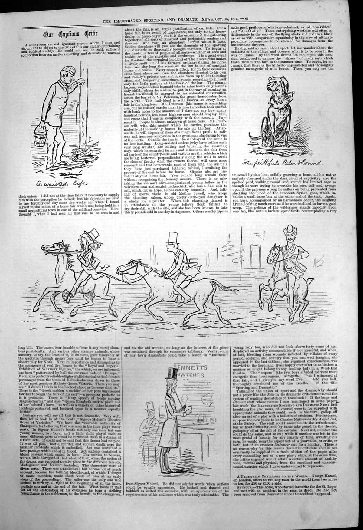 Old Antique Print Captious Critic Waisted Life Faithful Bloodhound 1875 19th