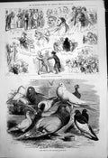 Old Prize Pigeons Alexandra Palace Show Sketches Balaclava Banquet187 Victorian