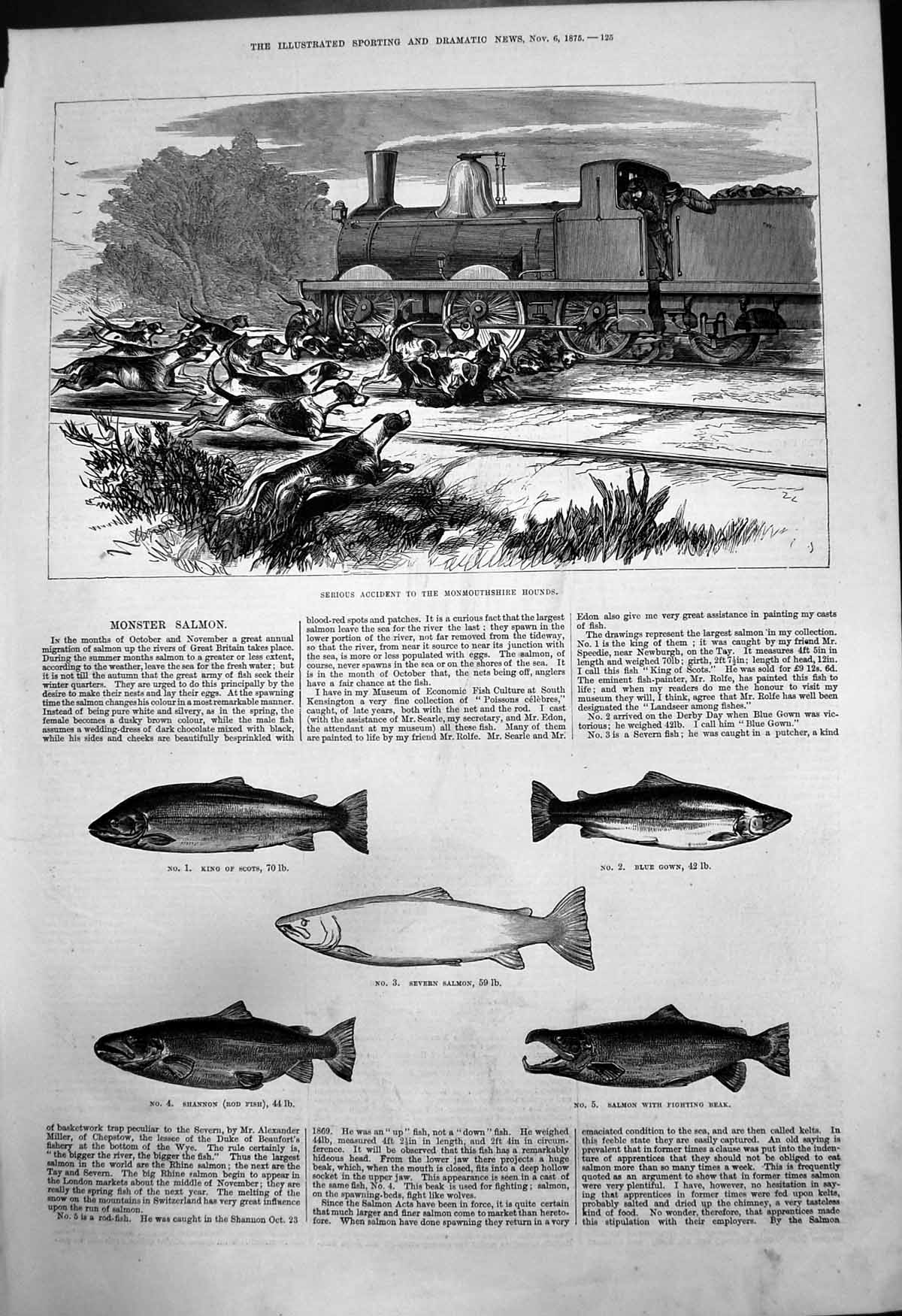 Old Print Serious Accident Monmouthshire Hounds Train Monster Salmon 1875 19th