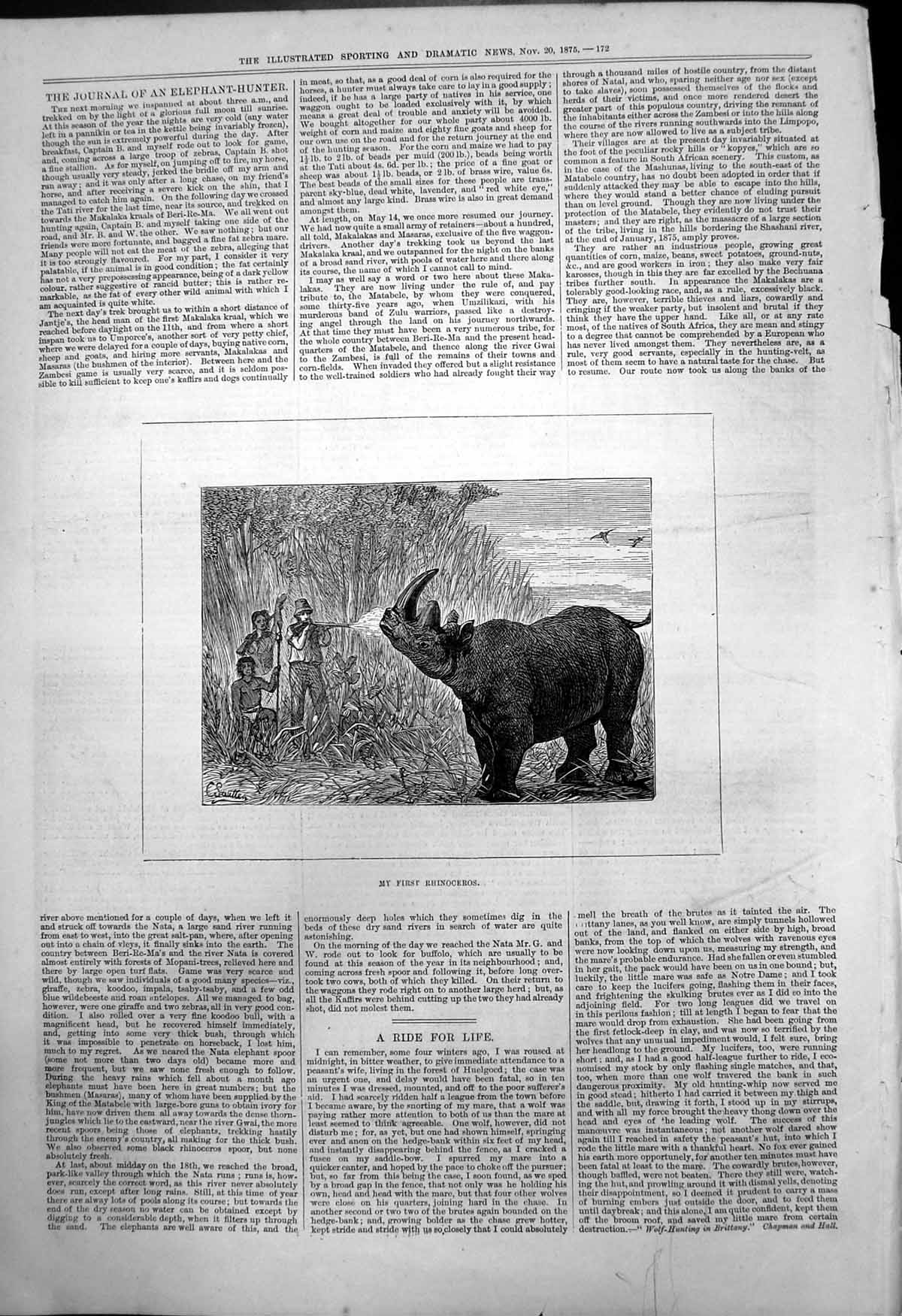 Old Antique Print My First Rhinoceros C Sautten Shooting Two Natives 1875 19th