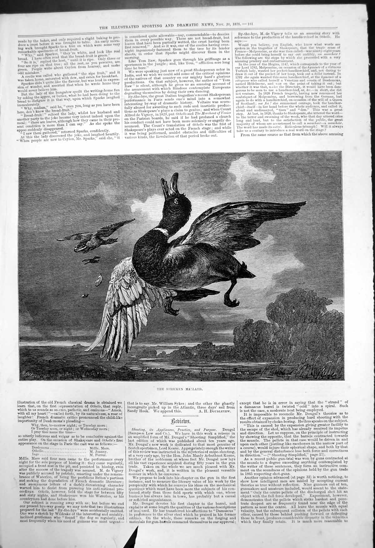 Original Old Antique Print Stricken Mallard M Jackson Duck Mid Air 1875 19th