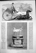 Old Osmonds Patent Safety Balancing Dog Cart Croydon Cup Horses 1875 Victorian