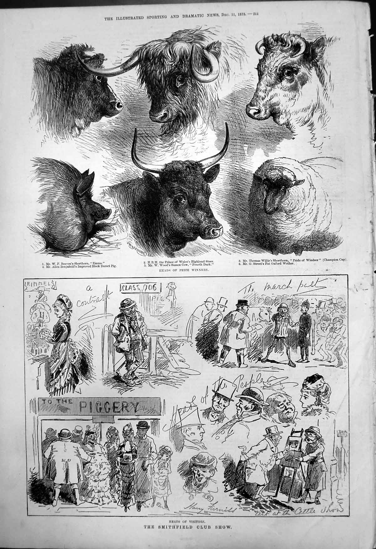 Old Smithfield Club Show Heads Visitors Prize Winners Cattle Sheep 18 19th