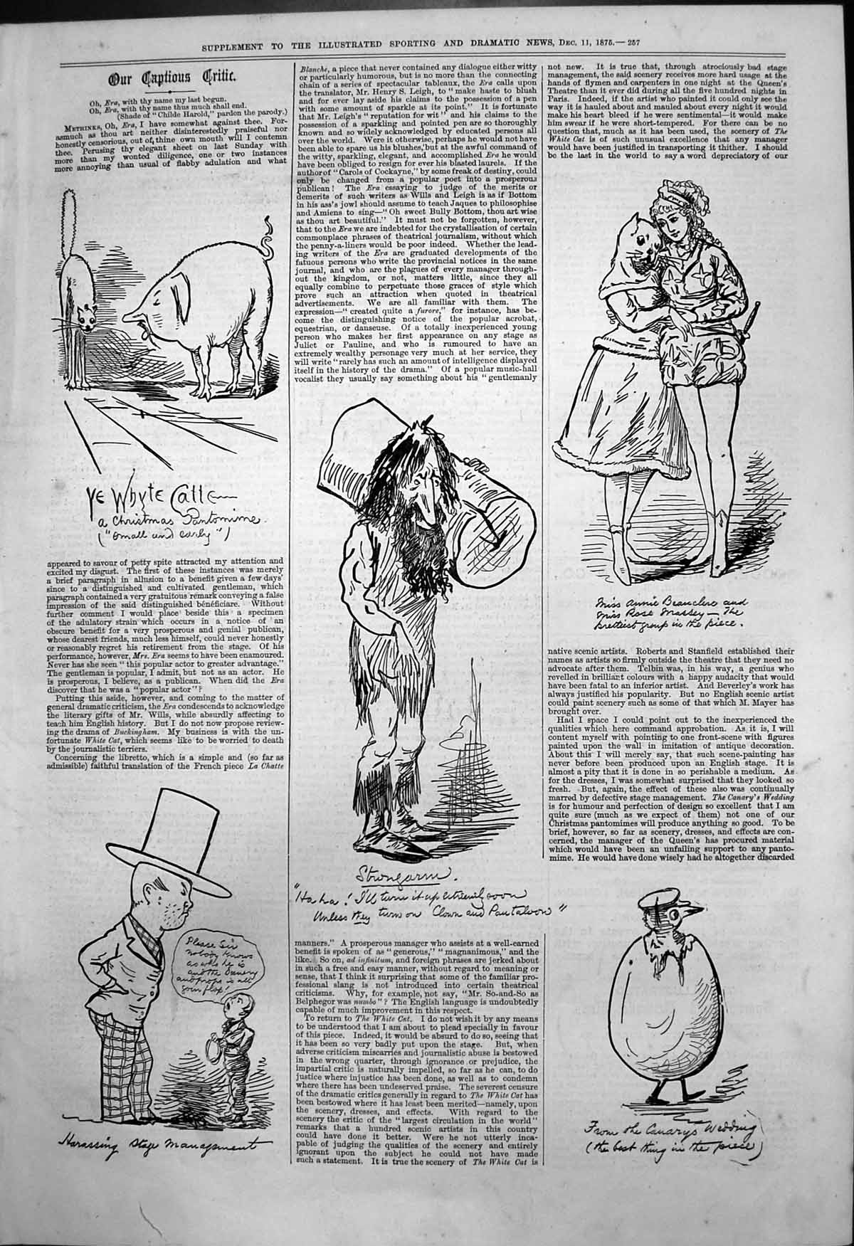 Old Captious Critic White Cat Christmas Pantomine Canarys Wedding 187 Victorian