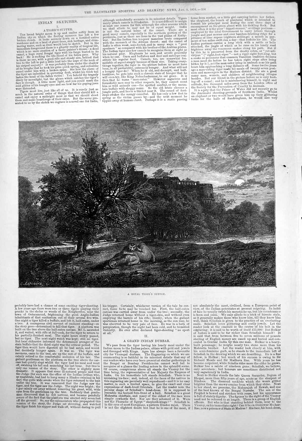 Original Old Antique Print Indian Sketches Royal Tigers Supper 1876 Victorian