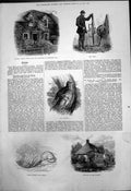 Antique Print Selborne Gilbert Whites House Cottages Village Wrynecks 1876 19th