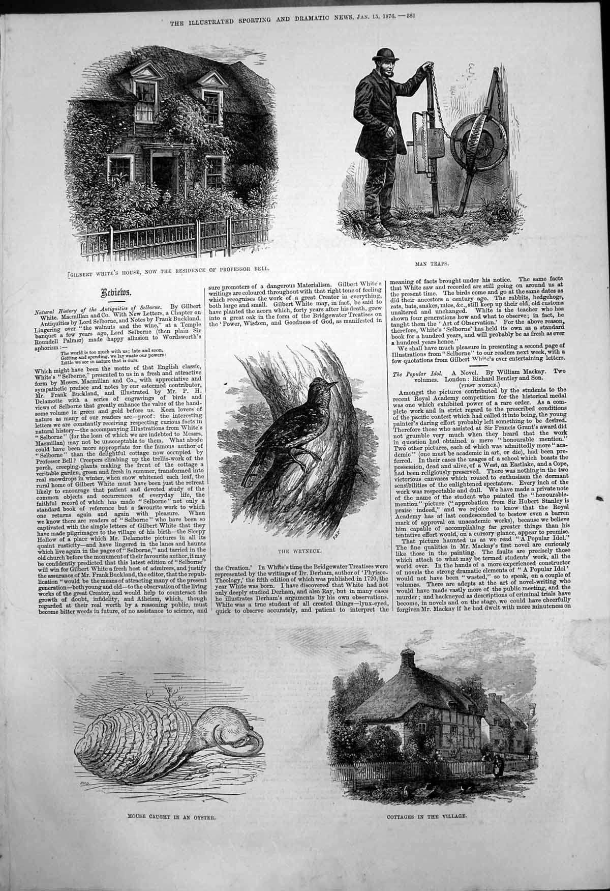 Antique Print Selborne Gilbert Whites House Cottages Village Wrynecks 1876 19th