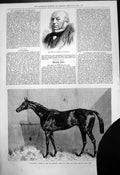 Old Sir Anthony Rothschild Gladiateur Winner Derby Paris 1876 Damaged Victorian