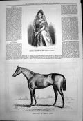 Antique Print Madame Gerster H M Opera Baden Baden American Race Horse 1878