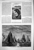 Antique Print Living Mermaid Aquarium R C P Y C Cutter Match Moonlight 1878
