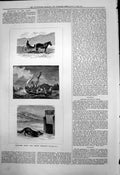 Antique Old Print Sketches Arctic Regions Horse Carriage Fishermen Boat 1878