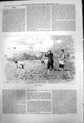 Old Antique Print First J Temple Grouse Shooters First Shot Guns Dog 1878 19th