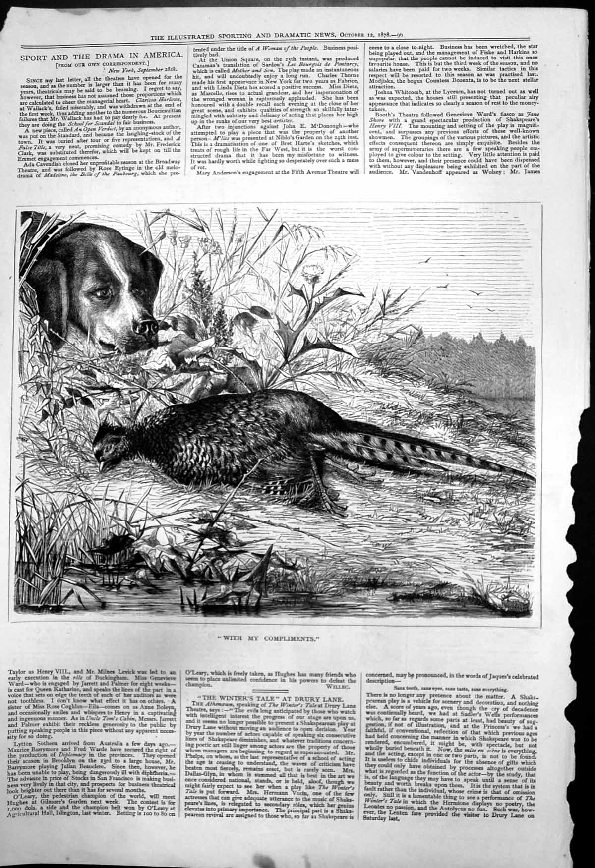 Antique Print With My Compliments Dog Watching Dead Pheasant Riverbank 1878
