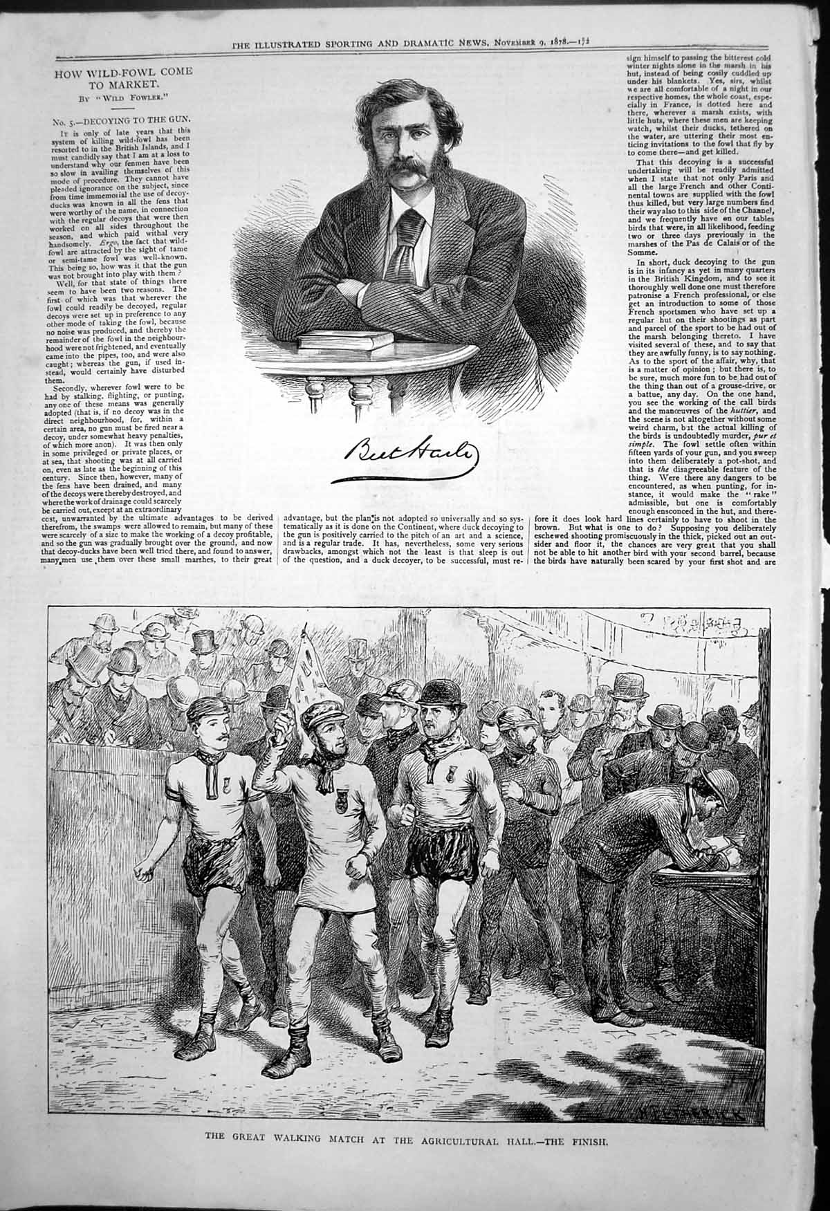 Antique Print Bert Harle Great Walking Match Agricultural Hall Finish 1878 19th