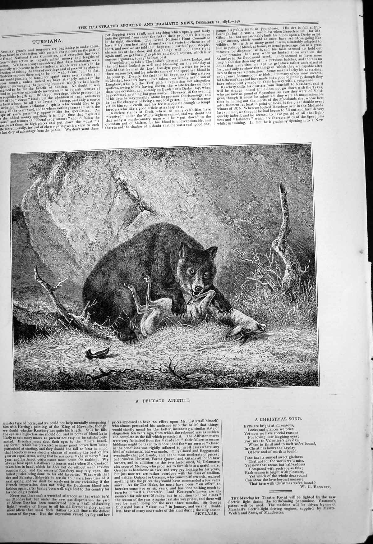 Original Old Antique Print Delicate Appetite Bear Hing Roe Deer Paws 1878 19th