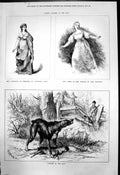 Old Mrs Townsend Christina Gustavus Vasa Mrs Gibbs Hoyden Relapse 187 Victorian
