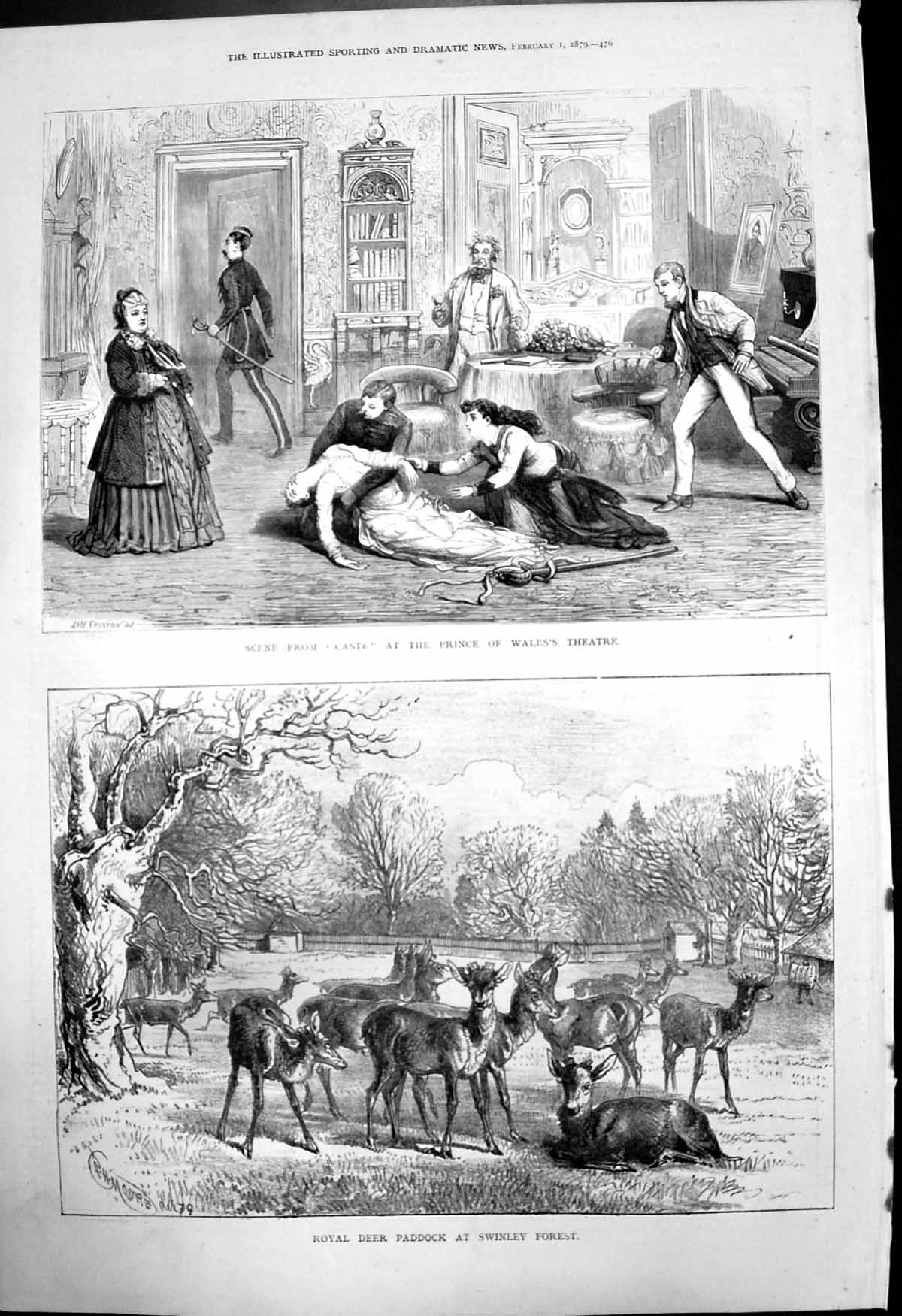 Old Royal Deer Paddock Swinley Forest Scene Caste Pr Wales Theatre 18 19th