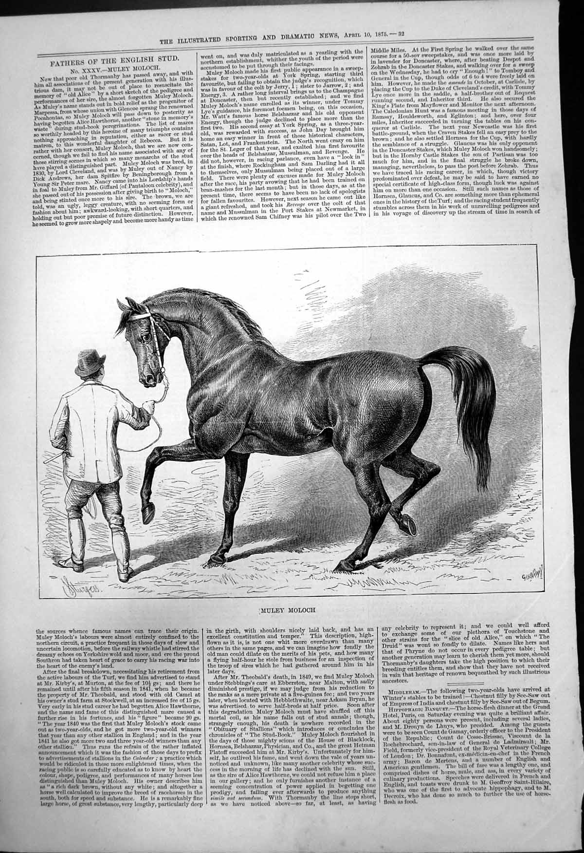 Original Old Antique Print Fathers English Stud Horses Muley Moloch 1875 19th