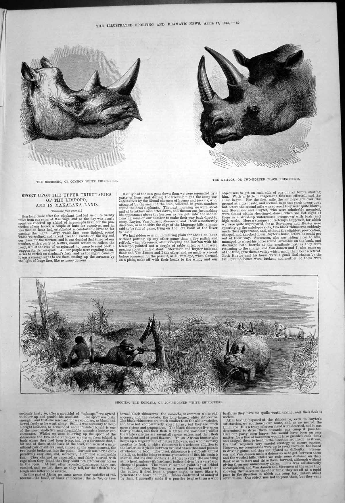 Antique Old Print Shooting Koboaba Long Haired White Rhinoceros Mochocho 1875