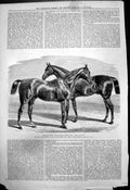 Old Manchester Horse Show Prize Hunters Erl King Fearon Sheriff 1875 Victorian