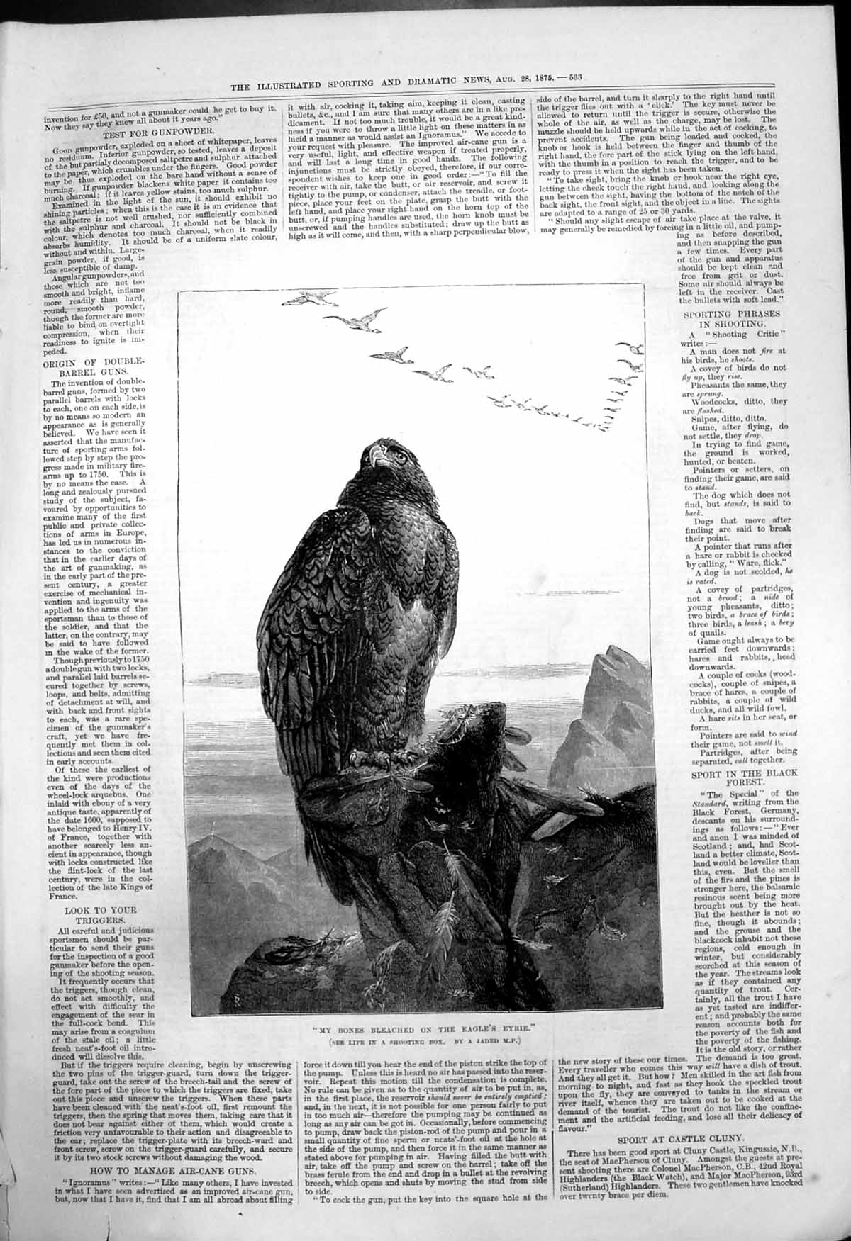 Old My Bones Bleached On Eagles Eyrie Life Shooting Box A Jaded Mp 18 19th