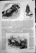 Antique Old Print Horse Steps Guildhall Serious Accident Dorking Coach 1875