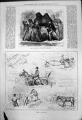 Old Accident Swaffham Menagerie Camel Sketches Barnet Fair Horses 187 Victorian