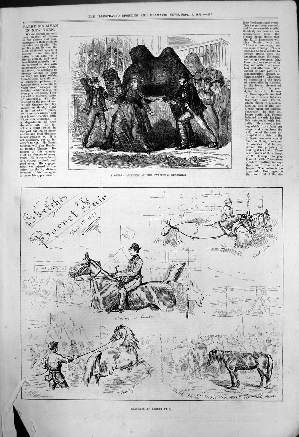 Old Accident Swaffham Menagerie Camel Sketches Barnet Fair Horses 187 Victorian