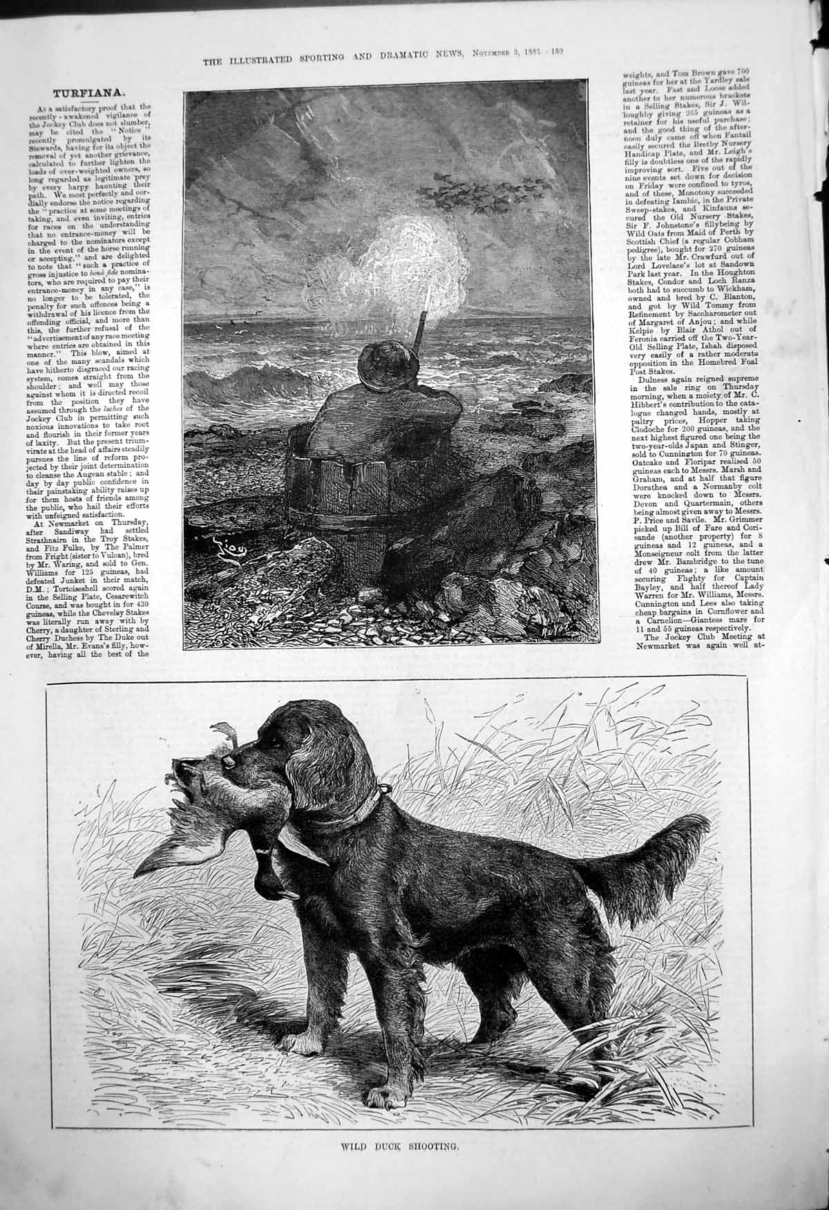 Original Old Antique Print Wild Duck Shooting Hunter Barrel Dog Duck Mouth 1883