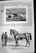 Antique Print Huntsmen Attacking Rhinoceros Blankney Stud Horse St Liz 1877