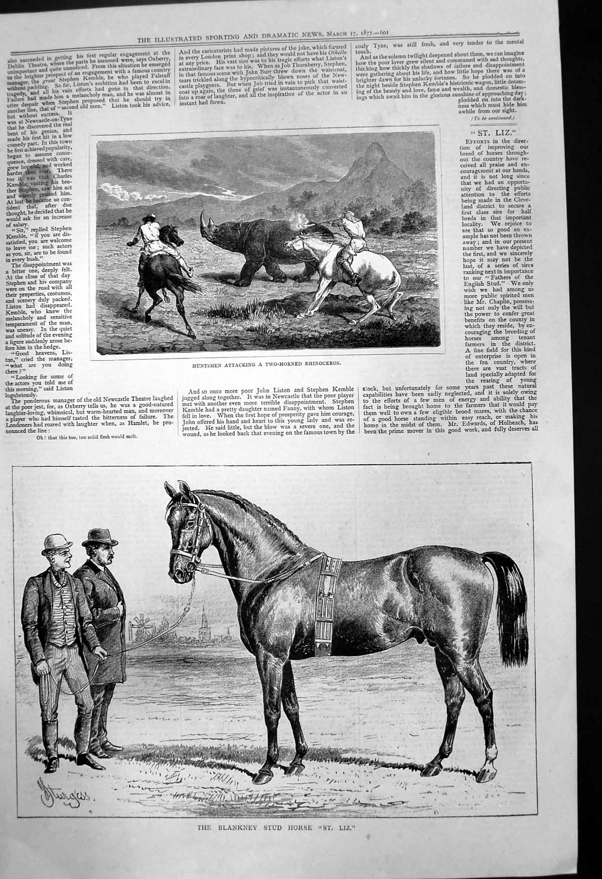 Antique Print Huntsmen Attacking Rhinoceros Blankney Stud Horse St Liz 1877