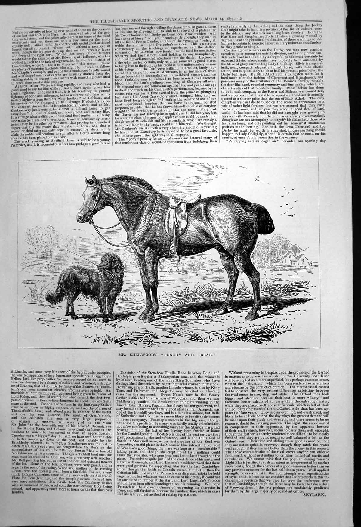 Original Old Antique Print Mr Sherwoods Punch Bear Horse Dog 1877 Victorian