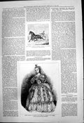 Old American Trotter George Patchen Sophie Arnould Pyramus Thisbe 187 Victorian